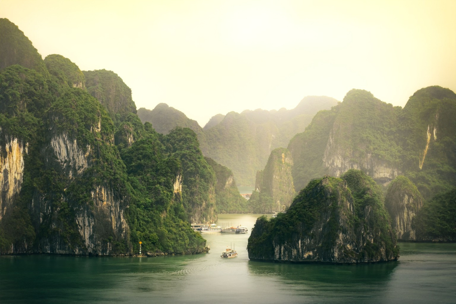 Lush forest and river landscape in a nature escape